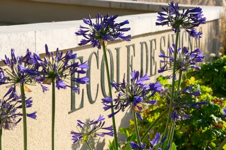 Composition florale habillant la devanture d'une école.