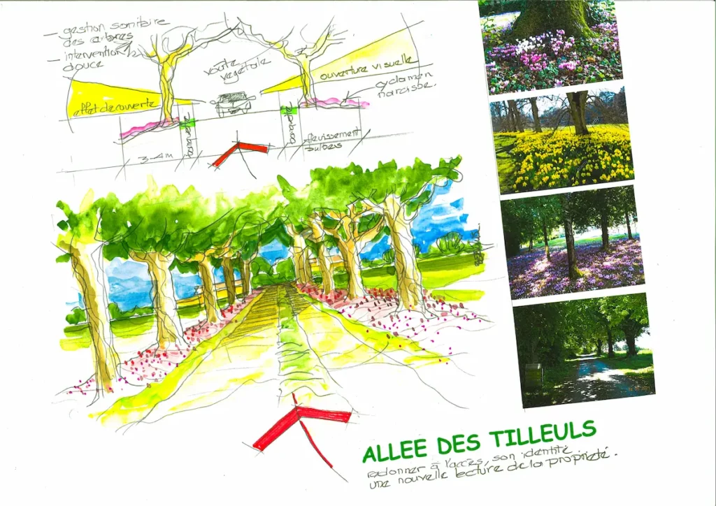 Zoom sur l'allée principale lors d'un projet d'aménagement complet réalisé par Serra Paysage