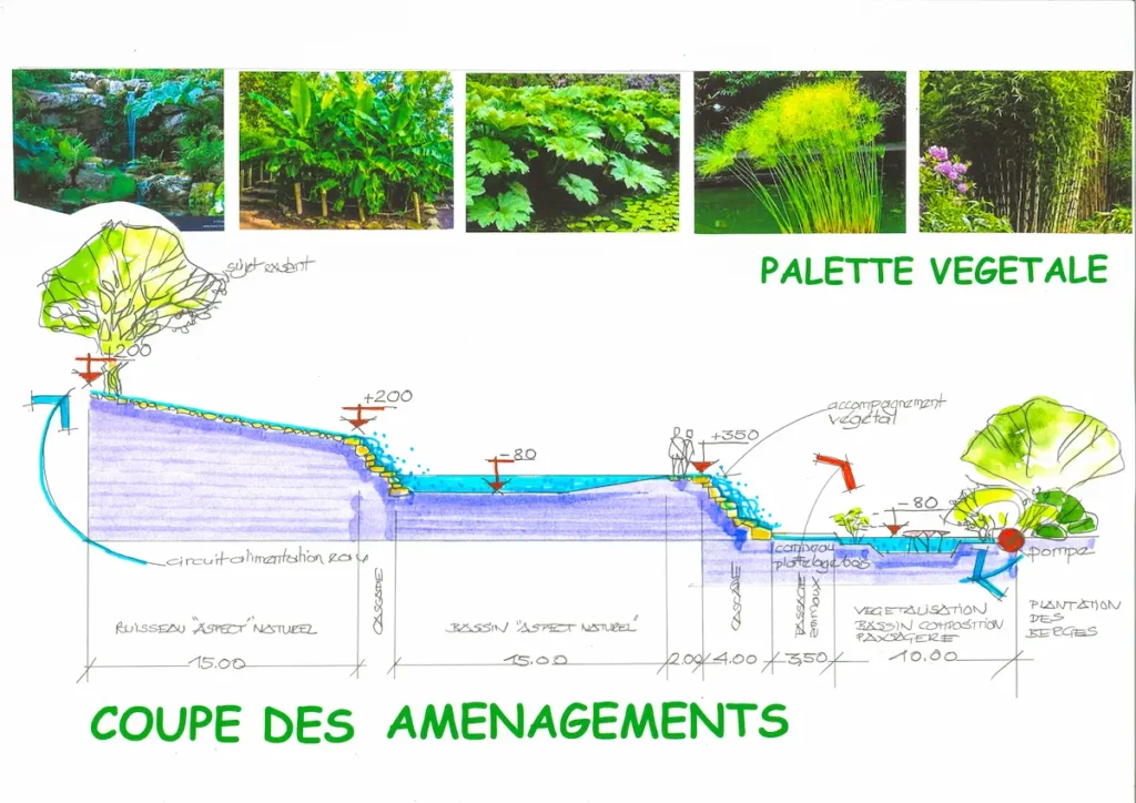 Esquisse d'une vue en coupe et palette végétale d'un projet paysager concernant un double bassin, réalisé par Serra Paysage