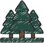 forest 1
