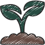 plant 1